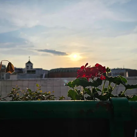 Stone Square Lägenhet